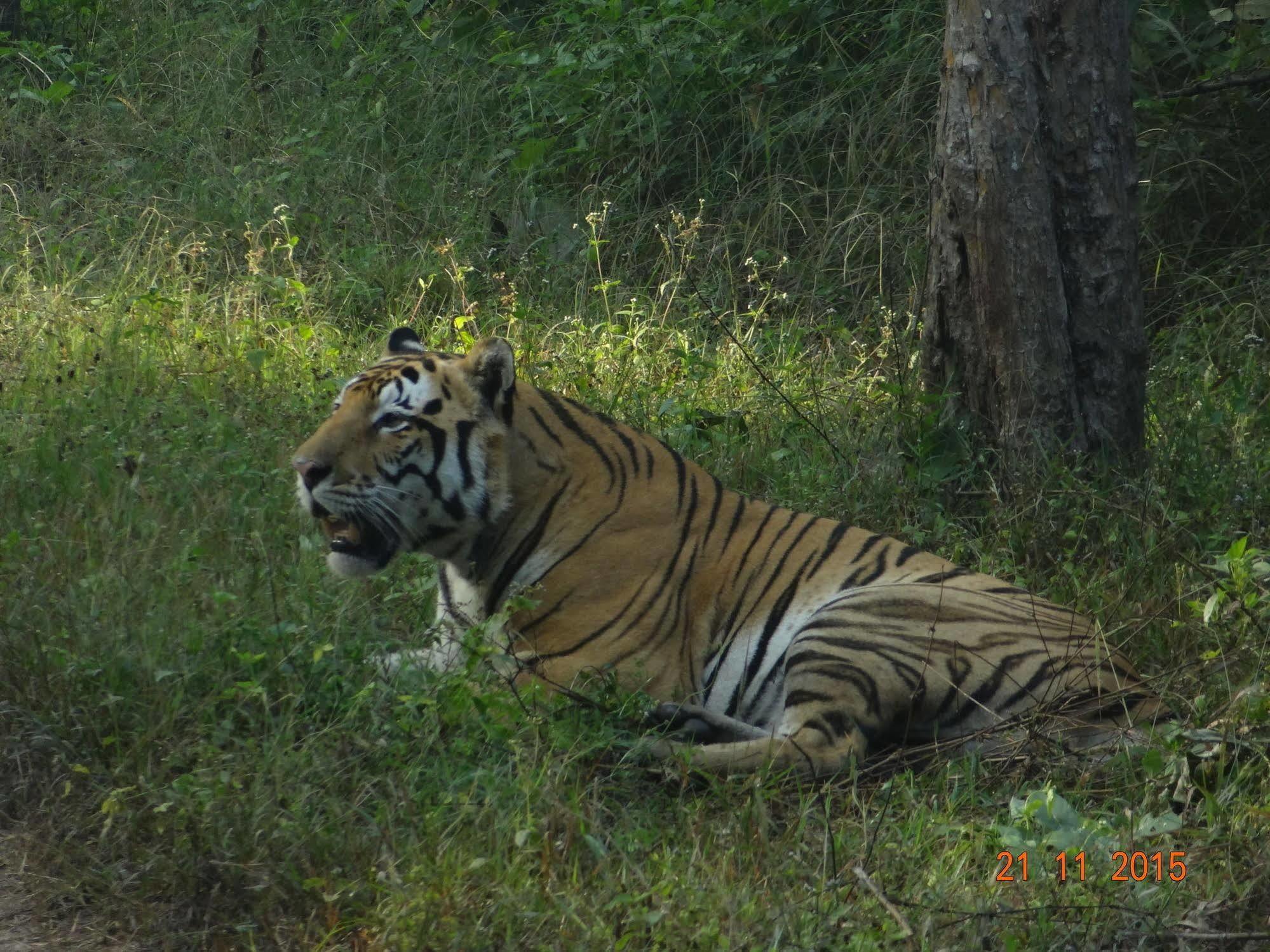 Windsor Tiger Resort Khatia Kültér fotó