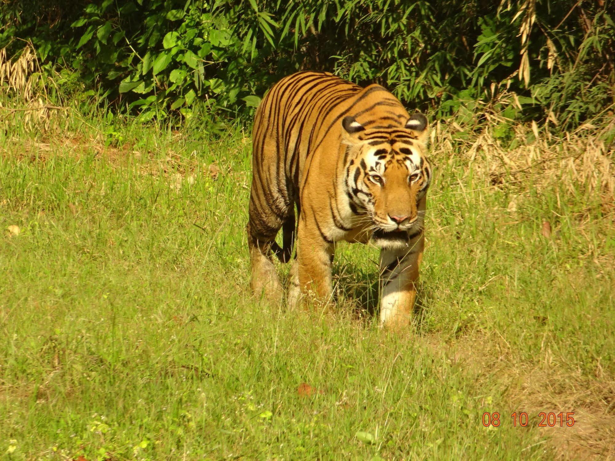 Windsor Tiger Resort Khatia Kültér fotó